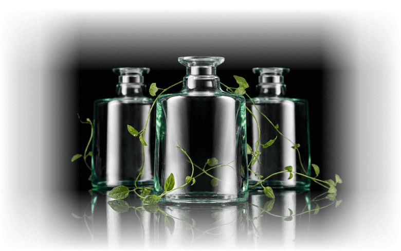 Glass bottles surrounded by green leaves