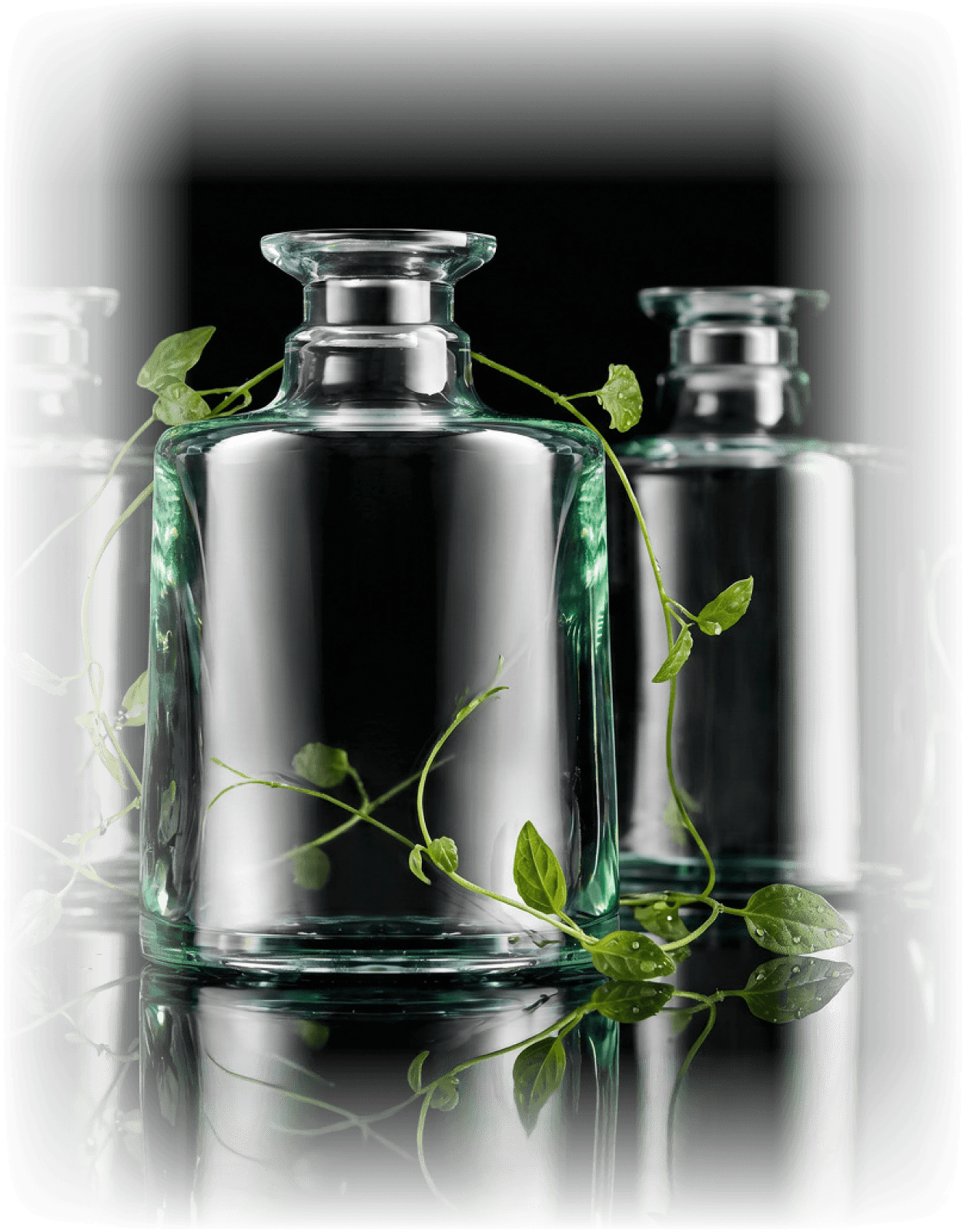 Clear glass bottles surrounded by green foliage